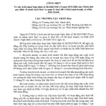 Công Điện 05/CĐ-CT: Cục Thuế Chỉ Đạo Khẩn 5 Lưu Ý Khi Áp Dụng Nghị Định 68/2026 Cho Hộ Kinh Doanh